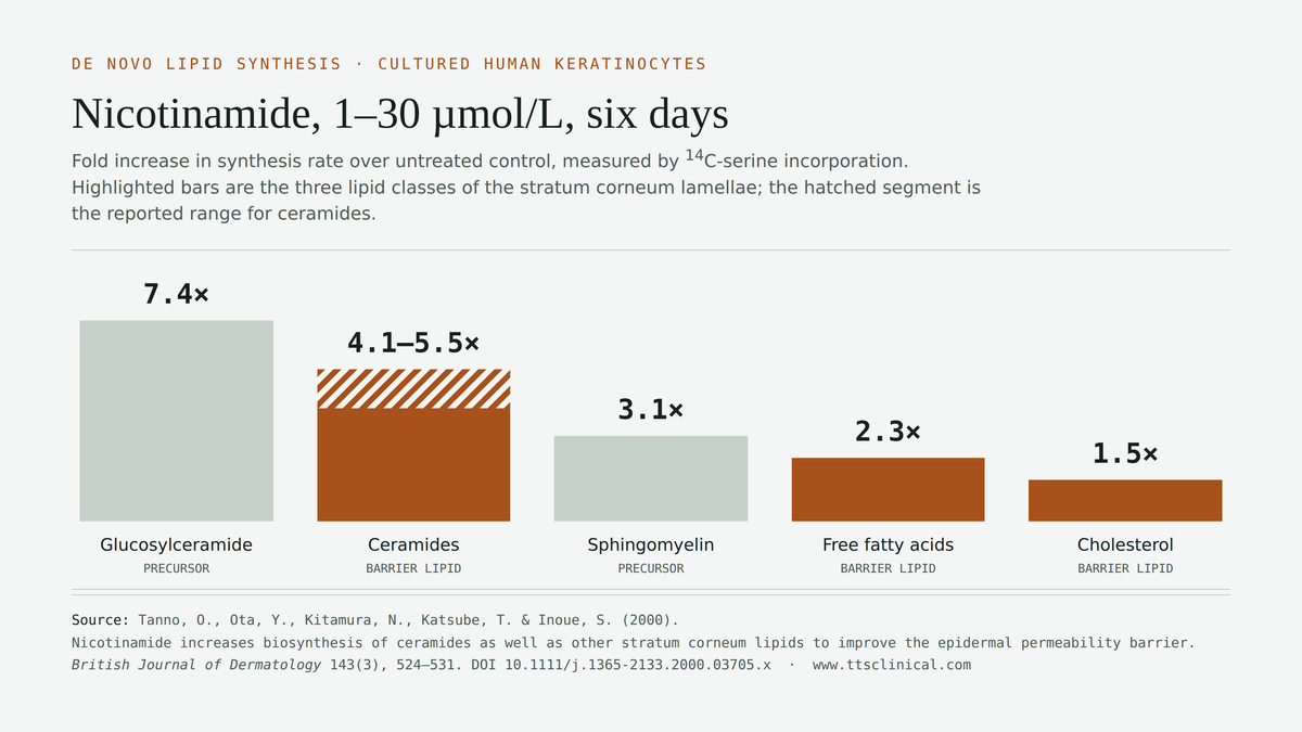 Bar chart: nicotinamide raises lipid synthesis in cultured human keratinocytes. Glucosylceramide 7.4x, ceramides 4.1-5.5x, sphingomyelin 3.1x, free fatty acids 2.3x, cholesterol 1.5x. Source: Tanno et al., Br J Dermatol 2000;143:524.