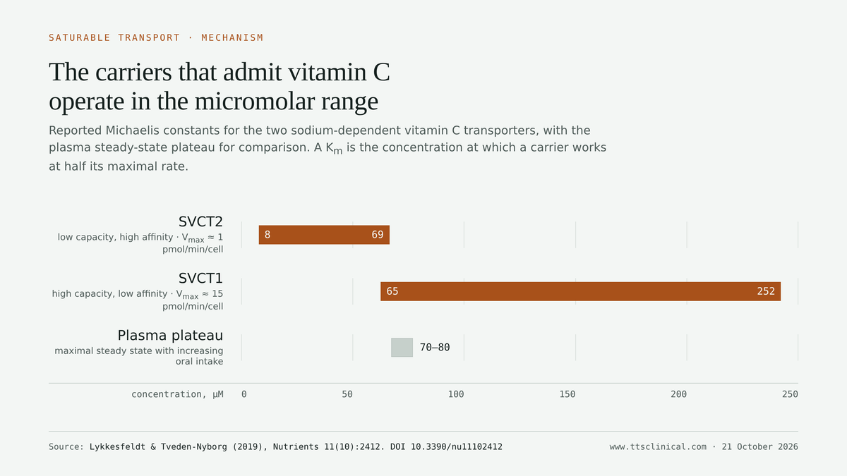 Range chart of reported Michaelis constants for the sodium-dependent vitamin C transporters: SVCT2 at 8–69 µM and SVCT1 at 65–252 µM, with the plasma steady-state plateau of 70–80 µM for comparison. Source: Lykkesfeldt & Tveden-Nyborg, Nutrients, 2019.