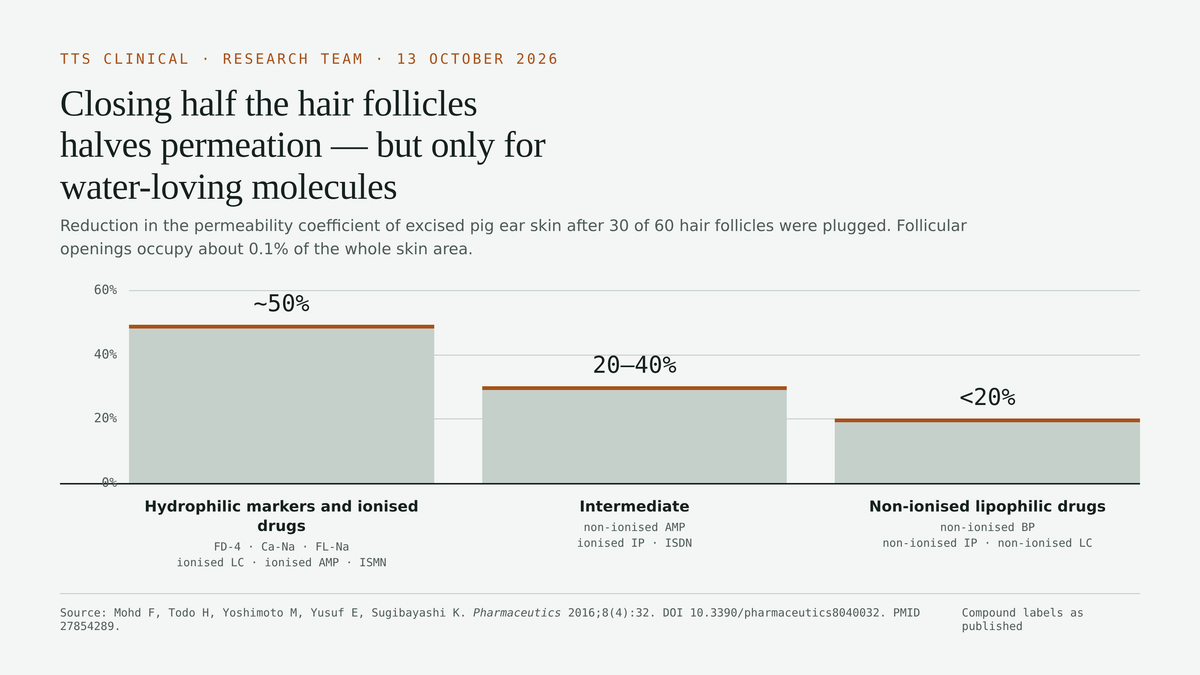 Bar chart: plugging 30 of 60 hair follicles in excised pig ear skin cuts permeability by about 50% for hydrophilic and ionised compounds and under 20% for non-ionised lipophiles (Mohd et al., Pharmaceutics 2016).
